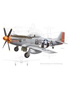 North American P-51D "Eight Ball"