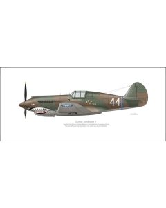 Curtiss Tomahawk II  AVG Panda Bears