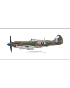 Supermarine Spitfire Mk. XIVe